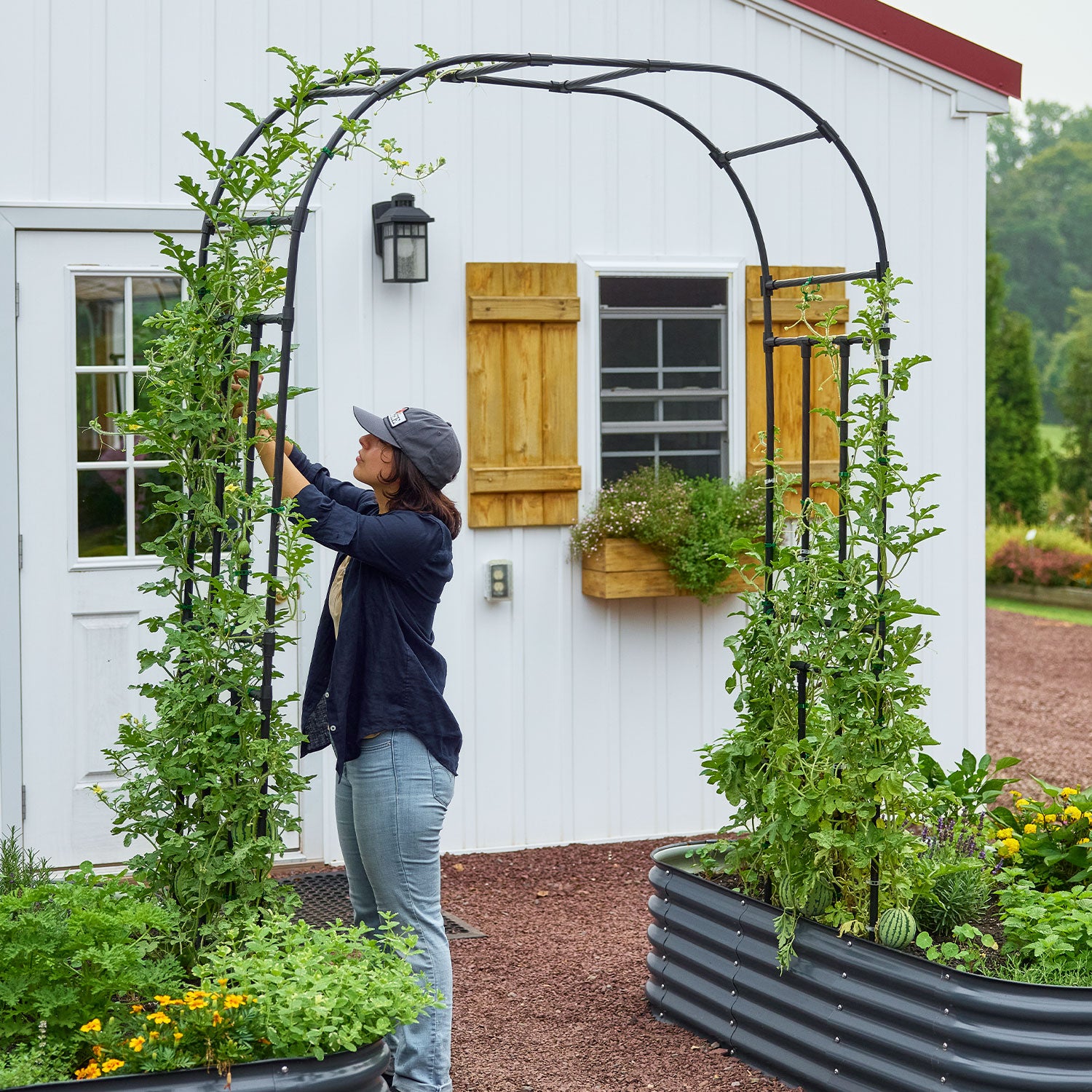 Lightweight Garden Arch Trellis
