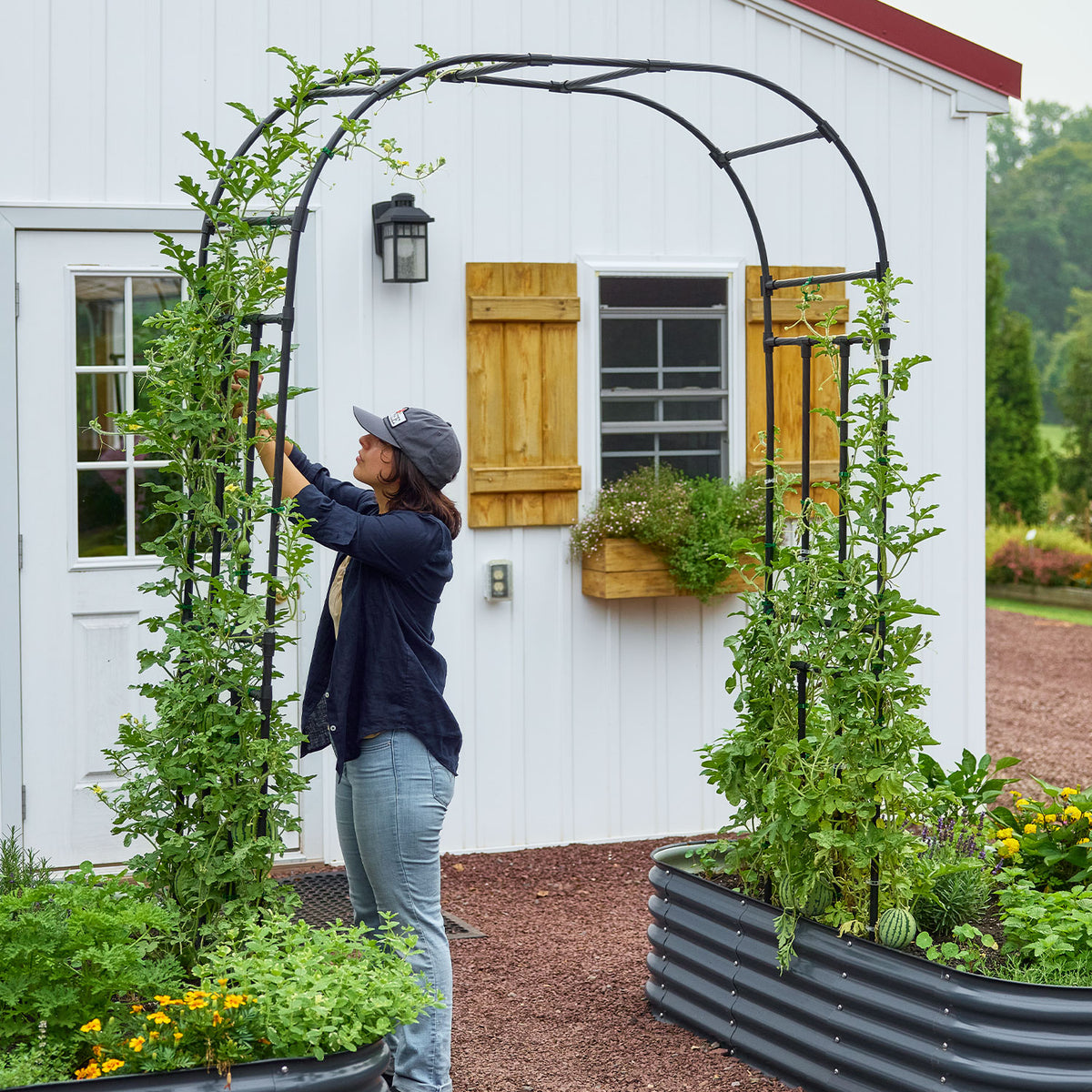 Lightweight Garden Arch Trellis