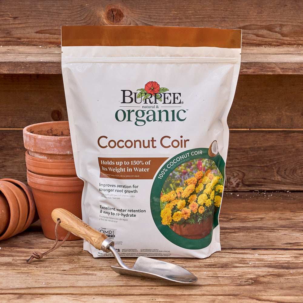 Burpees Organic Coconut Coir