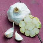 Italian Loiacono Garlic Bulbs