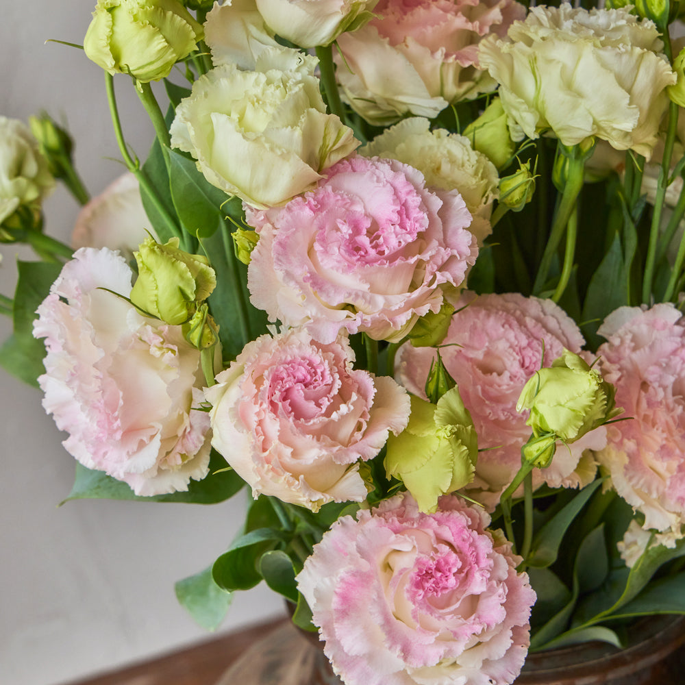 First Love Lisianthus
