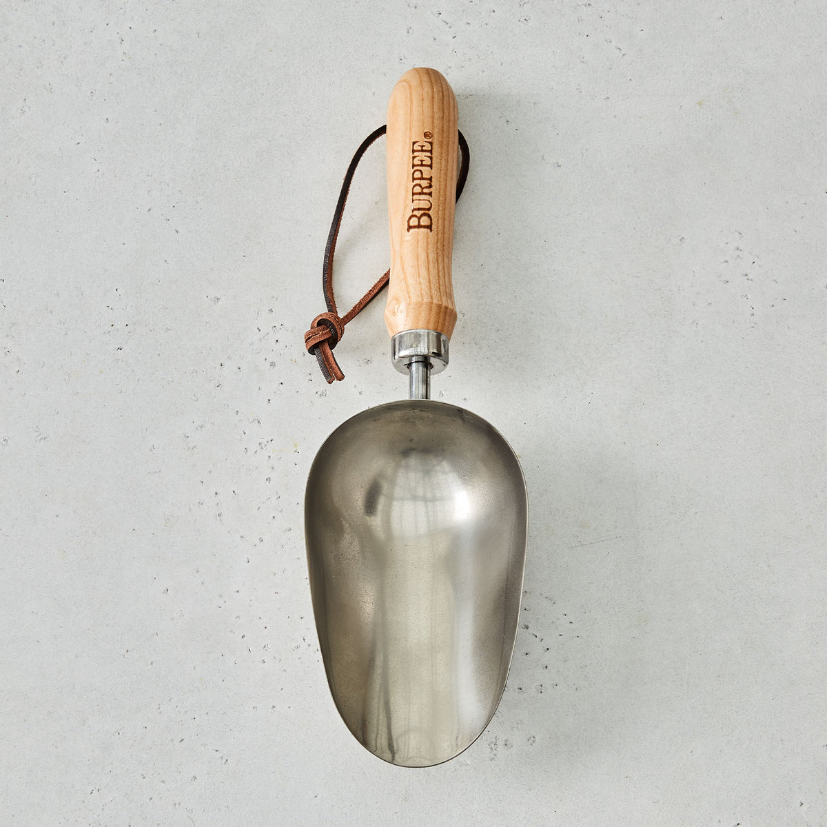 Burpee Stainless Steel Scoop