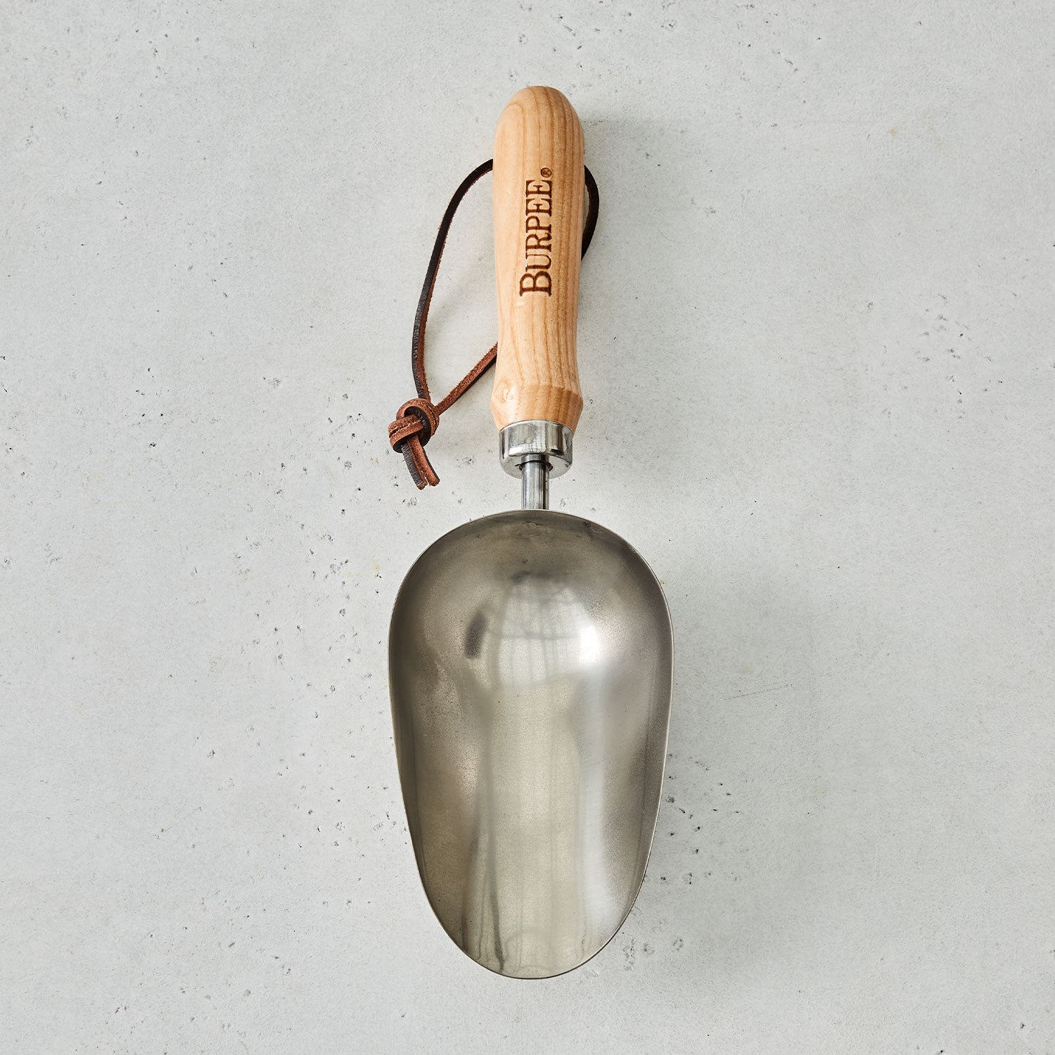 Burpee Stainless Steel Scoop