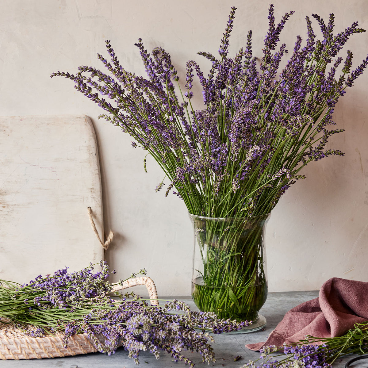 Phenomenal Lavender