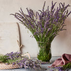 Phenomenal Lavender