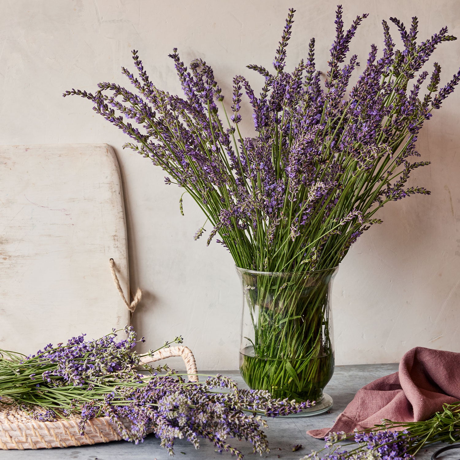 Phenomenal Lavender