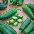 Ring Leader Hot Jalapeno Pepper