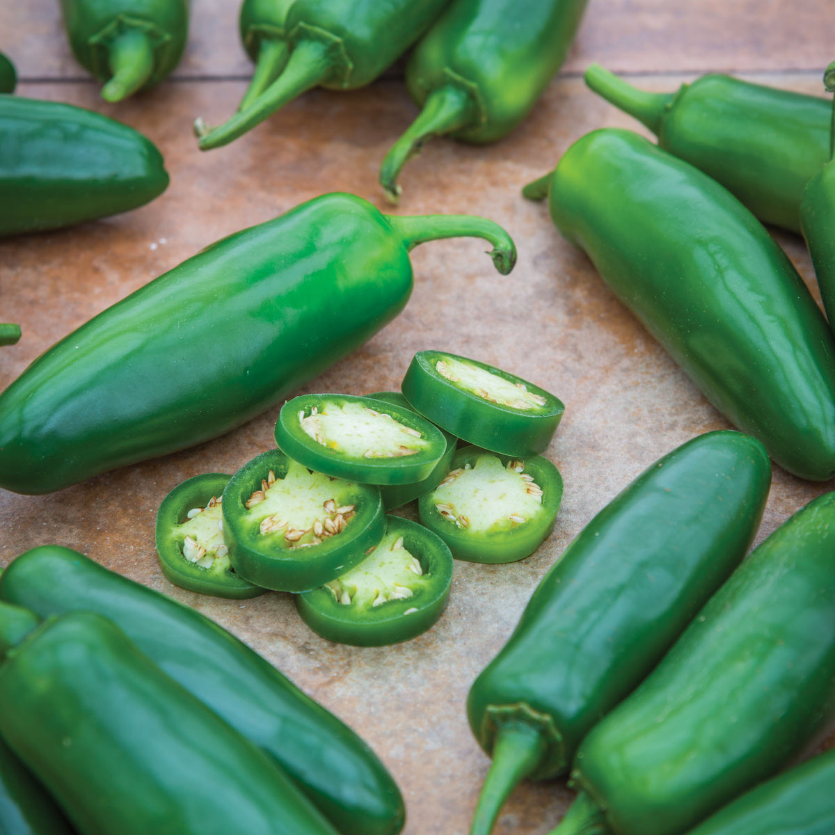 Ring Leader Hot Jalapeno Pepper