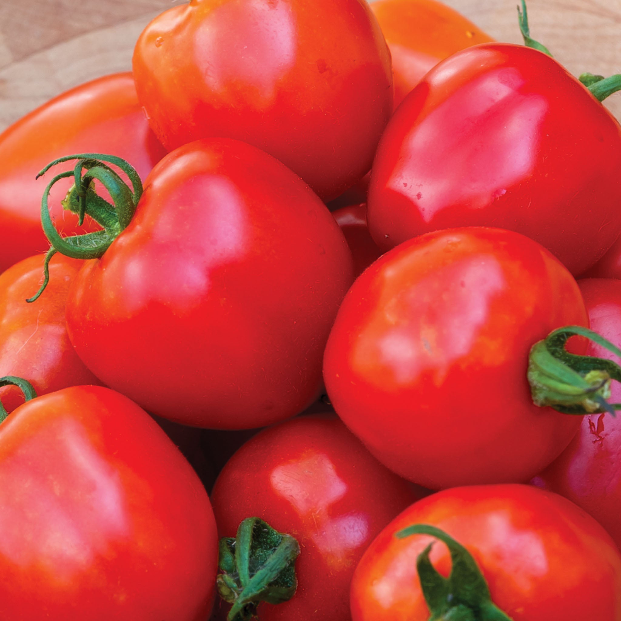 Tomatoberry Garden Tomato