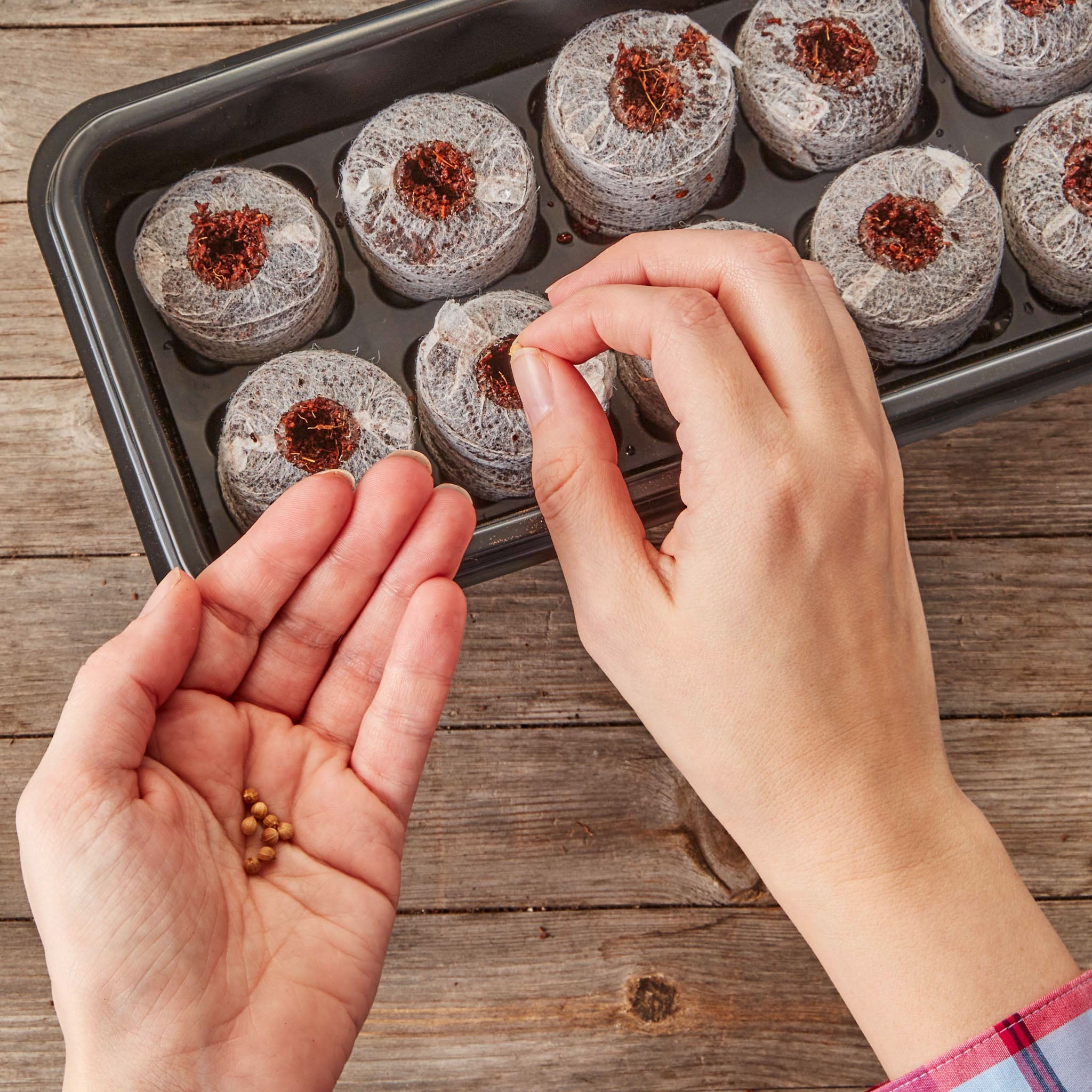 Netted Coir Pellets