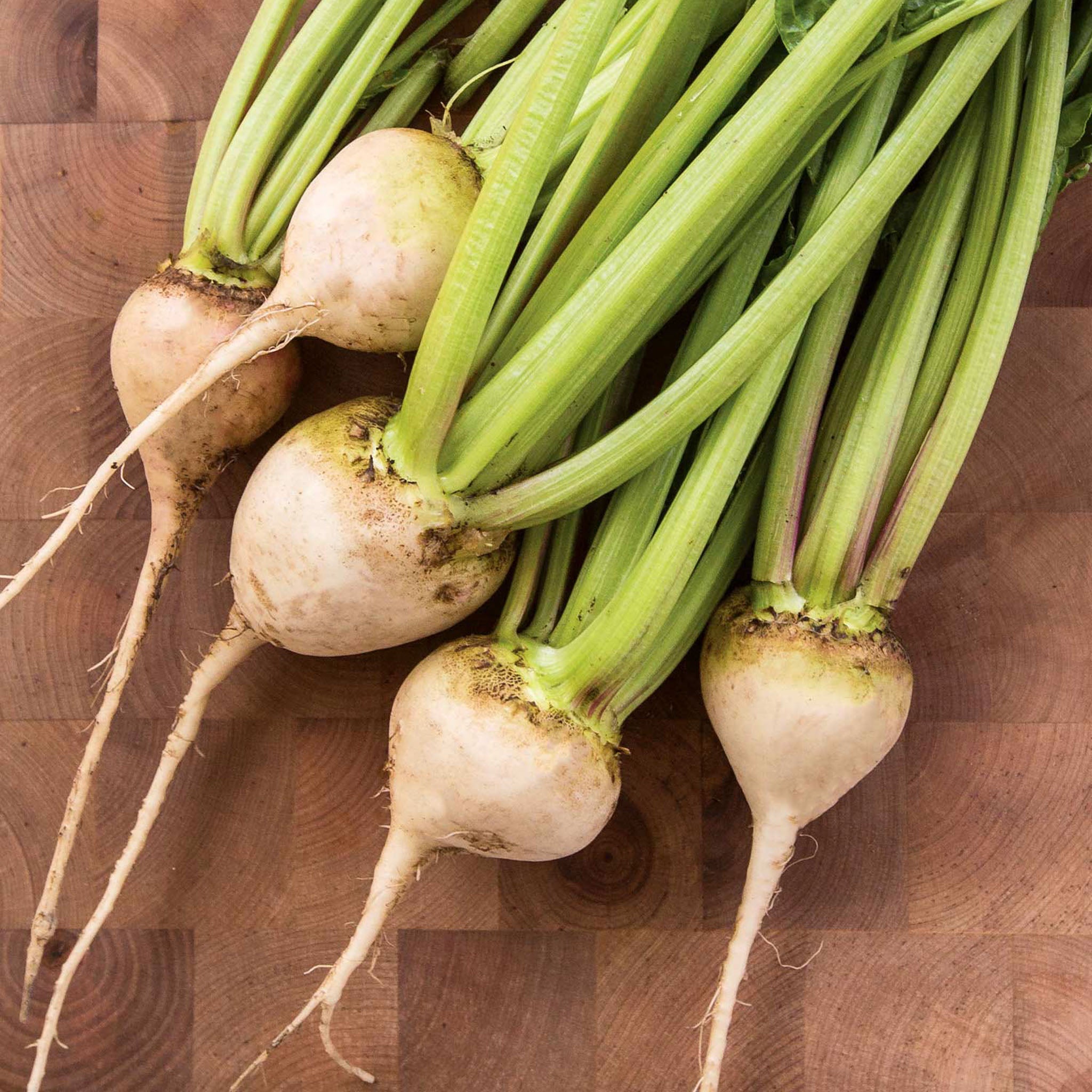 Avalanche Beet