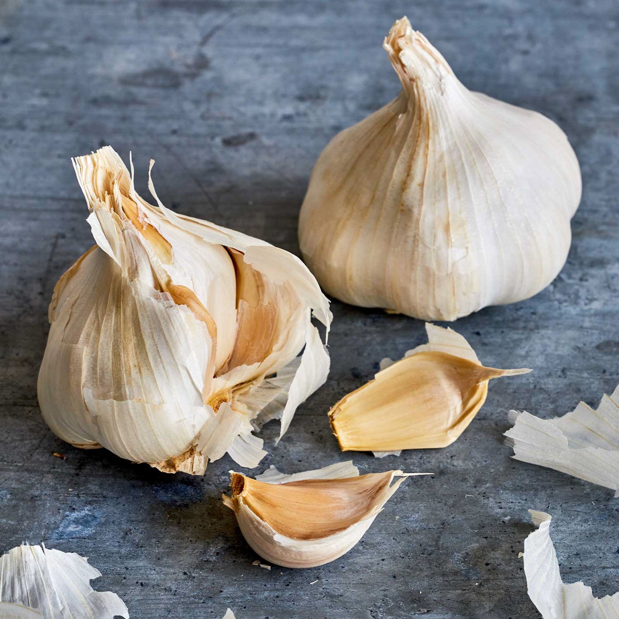 Transylvania Garlic Bulbs