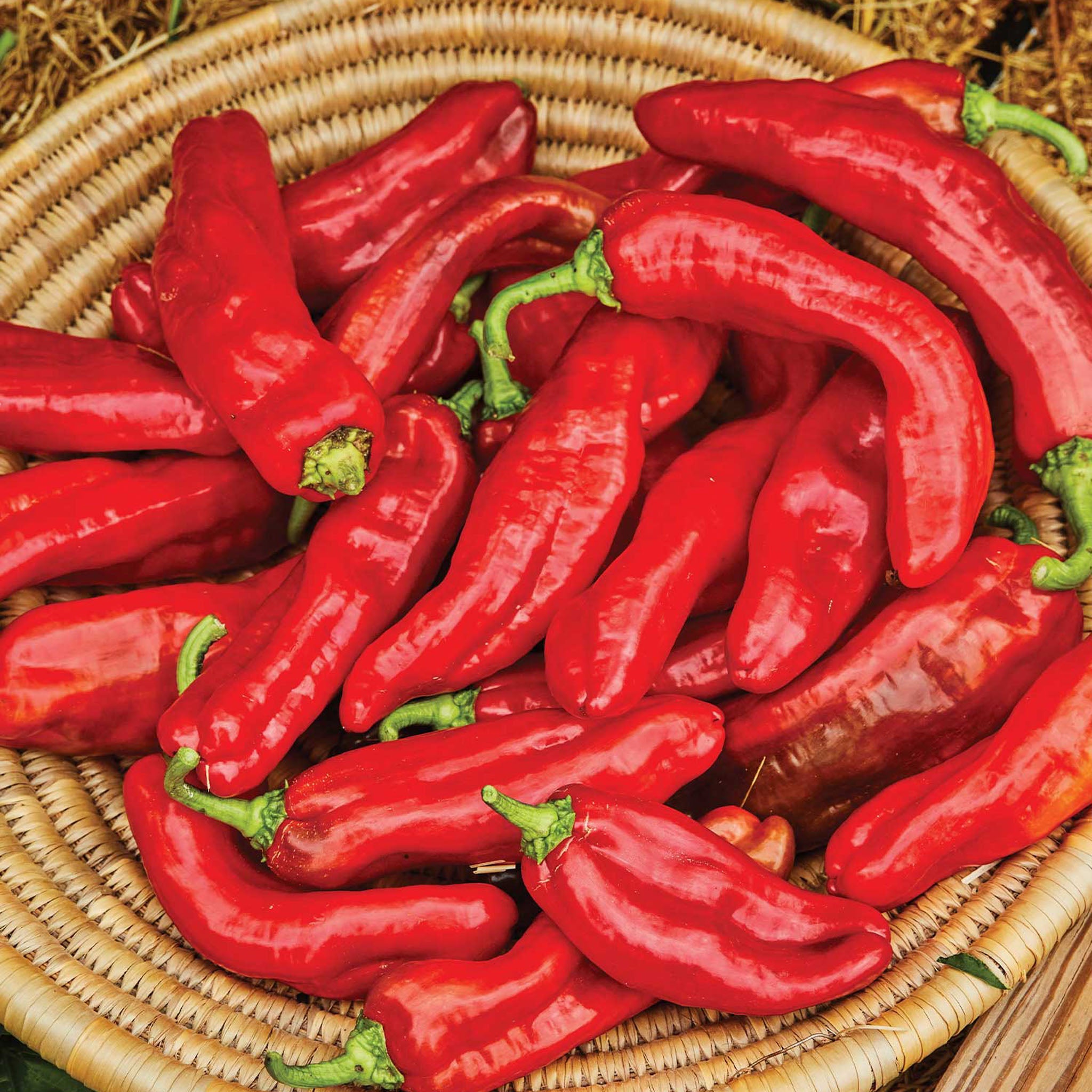 PeppiGrande Red Sweet Pepper