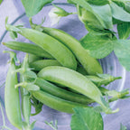 Little SnapPea Crunch Pea