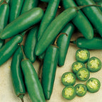 Serrano Chili Hot Pepper