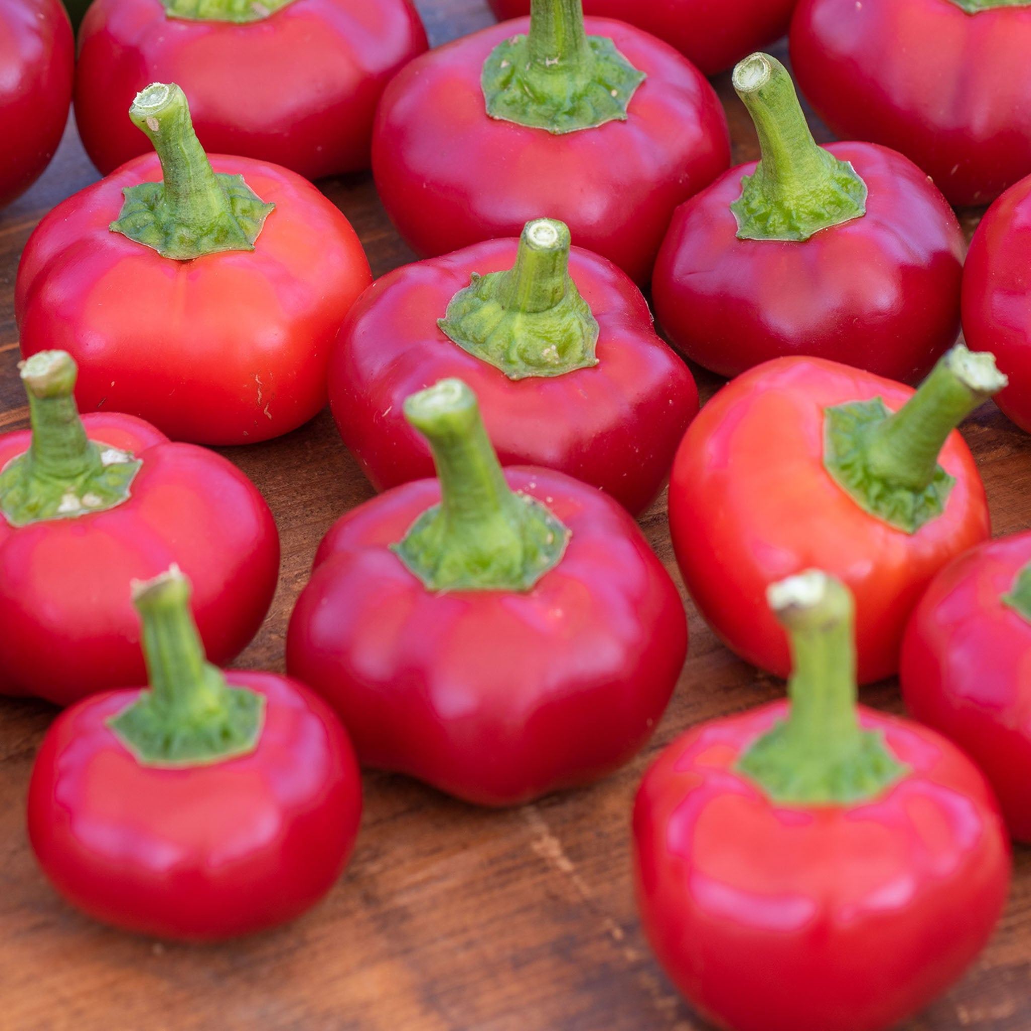 Large Cherry Hot Pepper