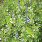 Pea And Cucumber Fence 2/Pack