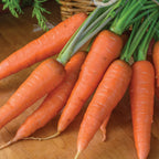 Yaya Organic Carrot