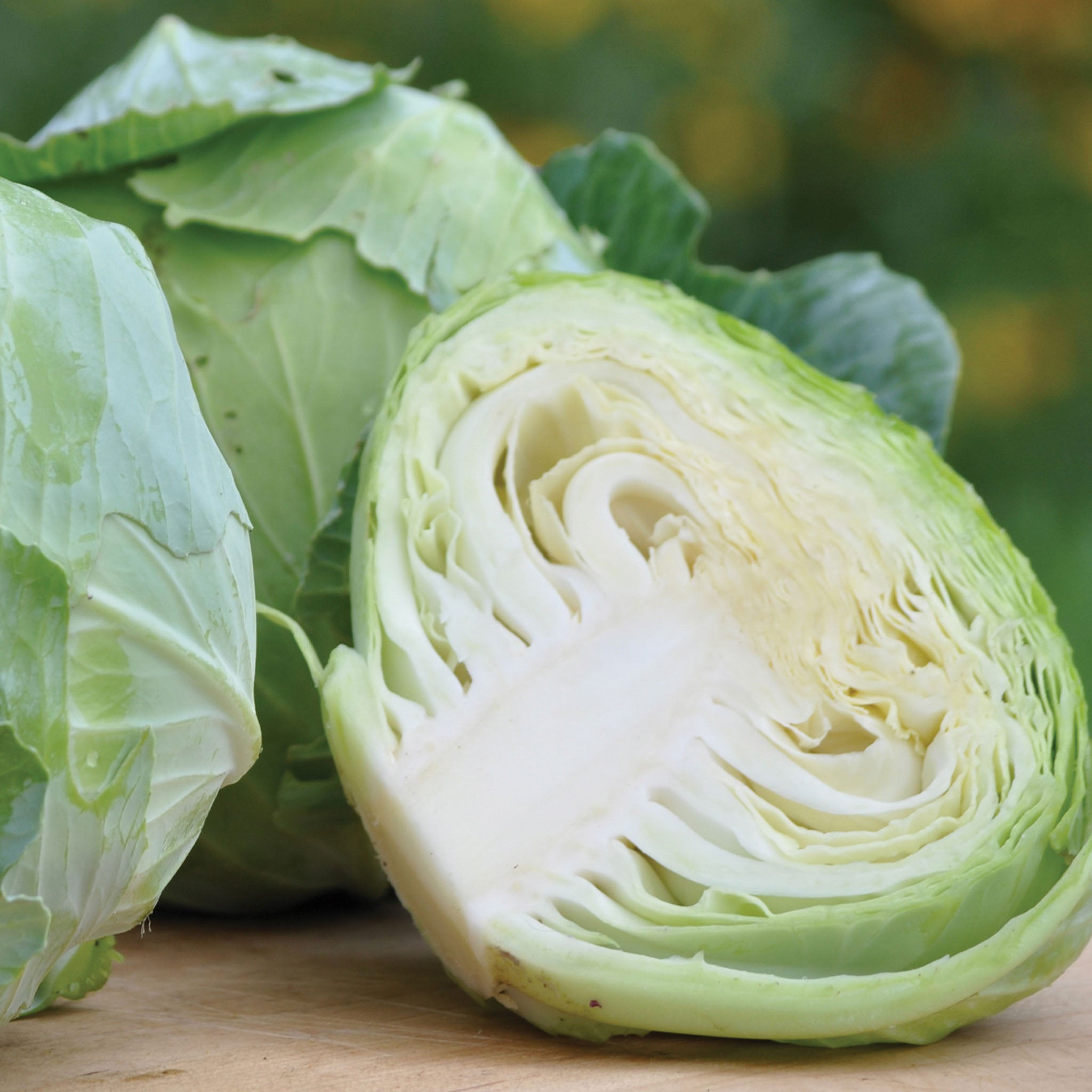 Charleston Wakefield Cabbage