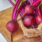 Merlin Beet
