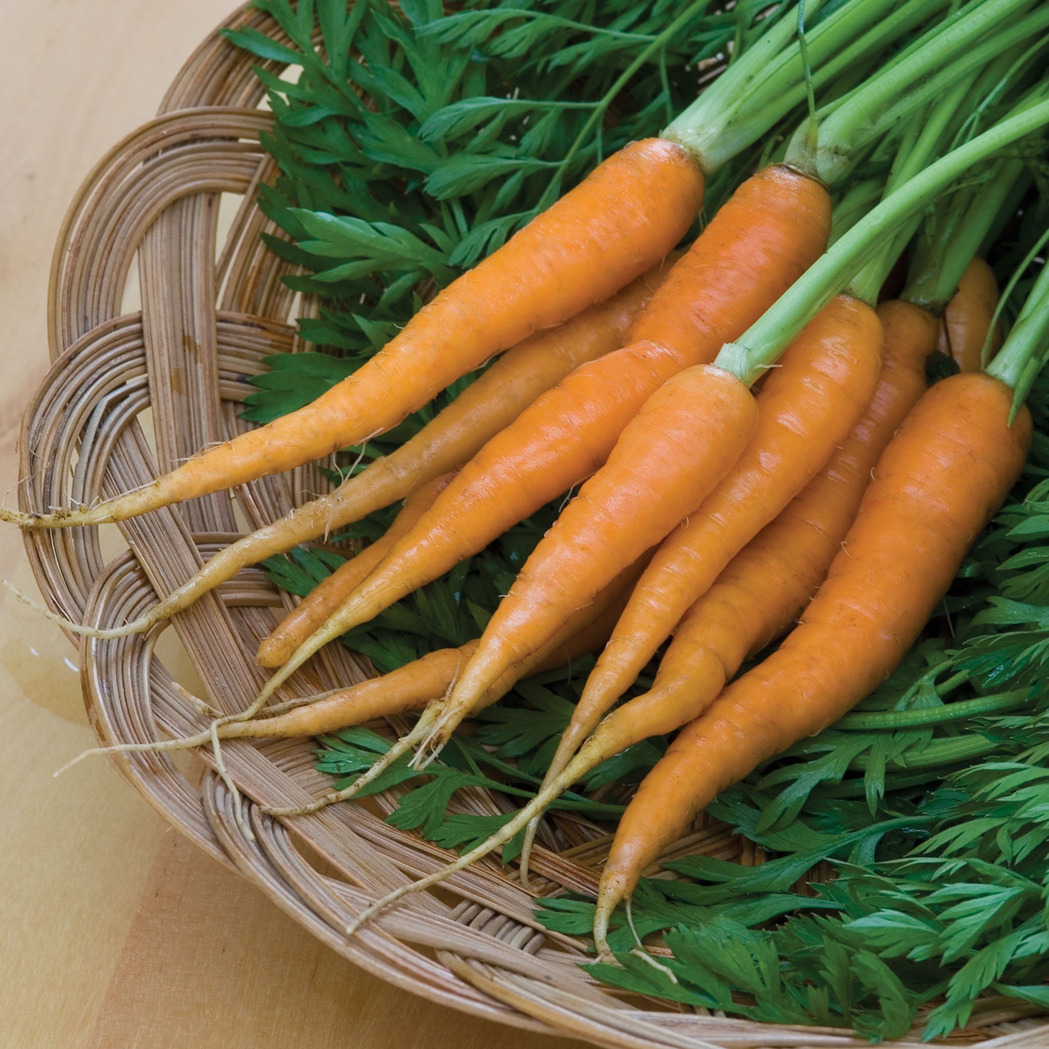 Little Finger Carrot