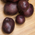 Harvest Moon Potato Tubers