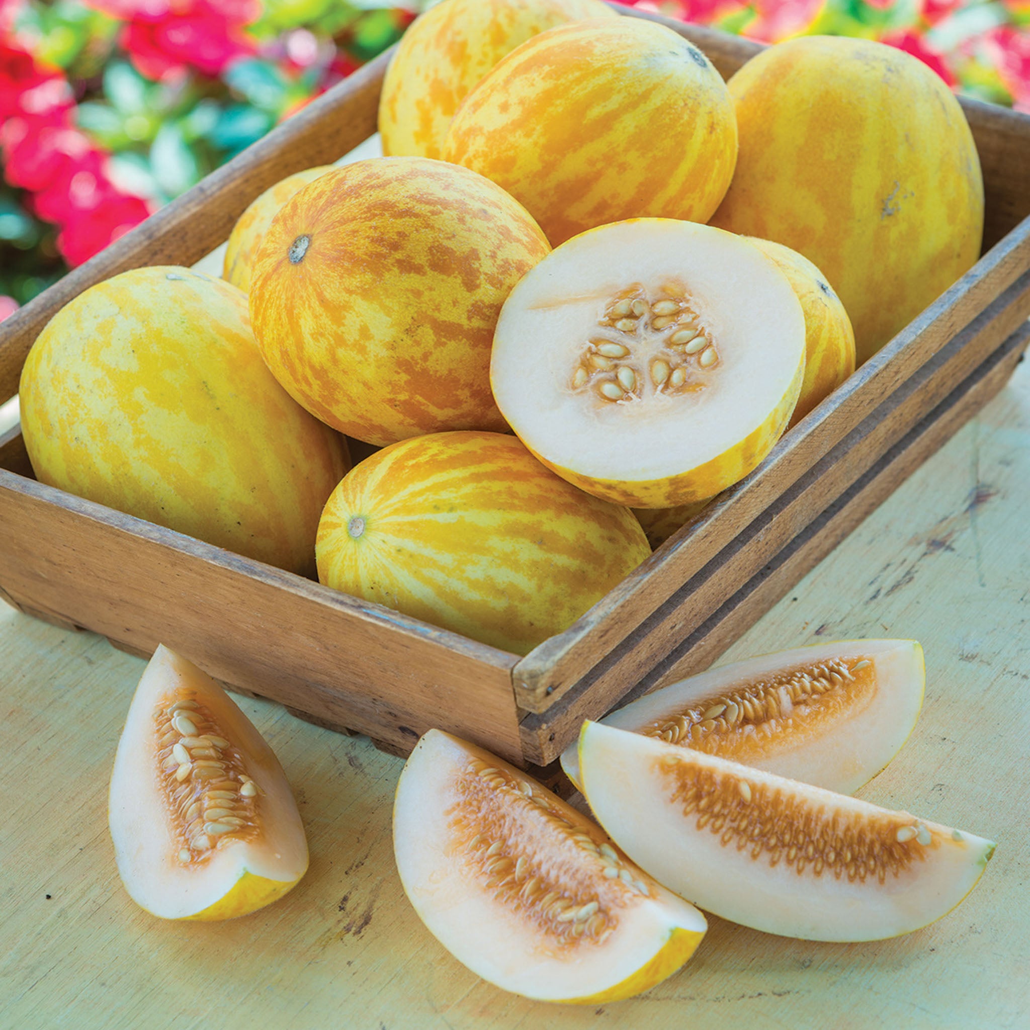 SuperBall Melon