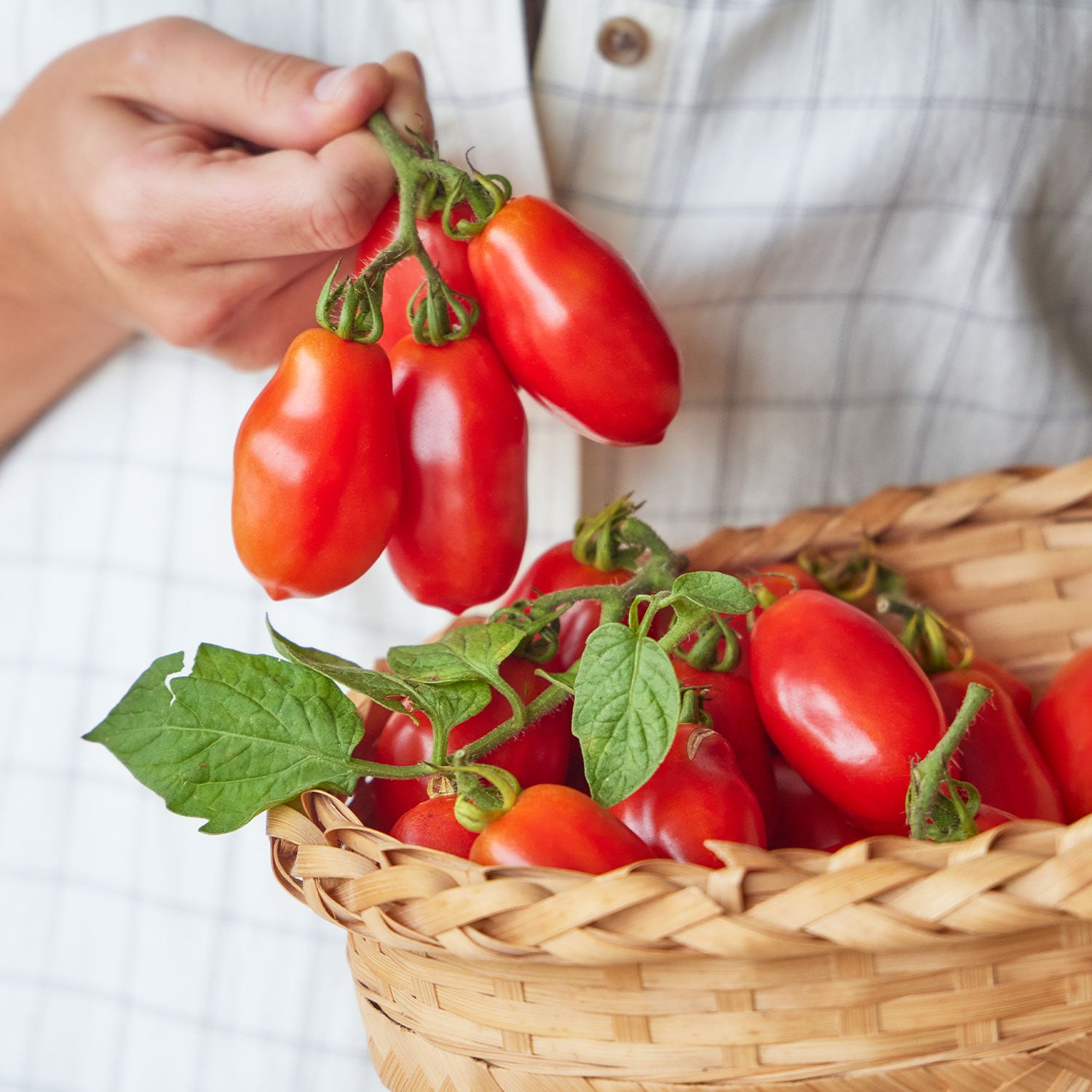 San Marzano Tomato