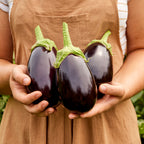 Midnight Moon Eggplant