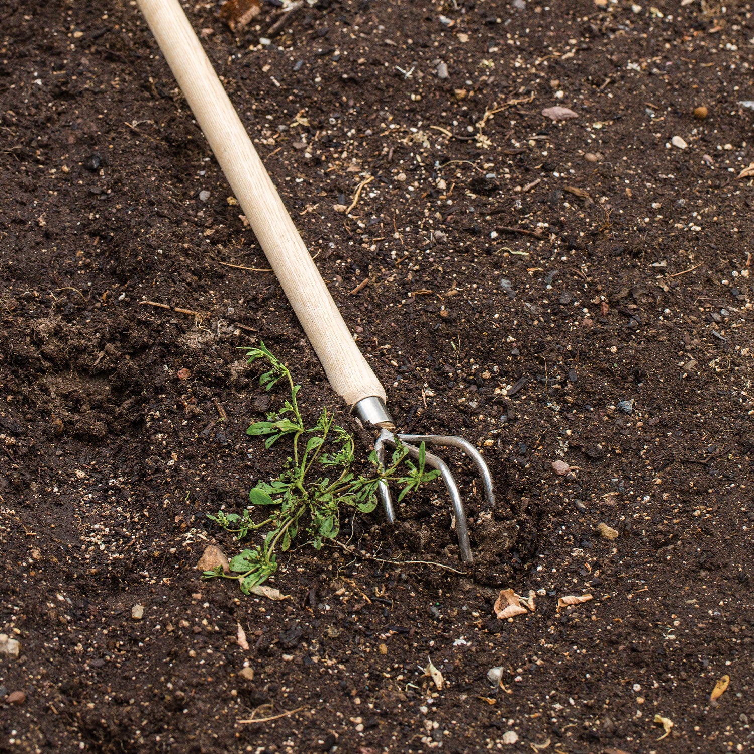 Raised Bed Cultivator