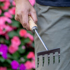 Burpee Stainless Steel 5 Tine Rake
