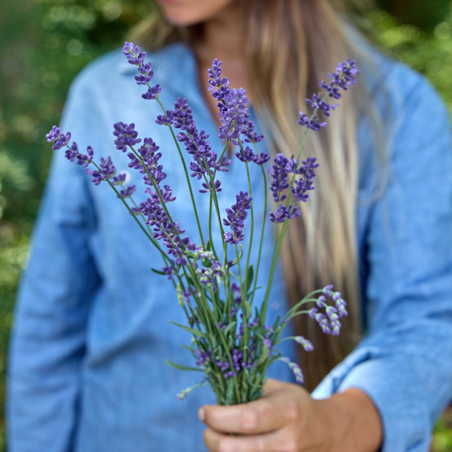 SuperBlue PPAF Lavender