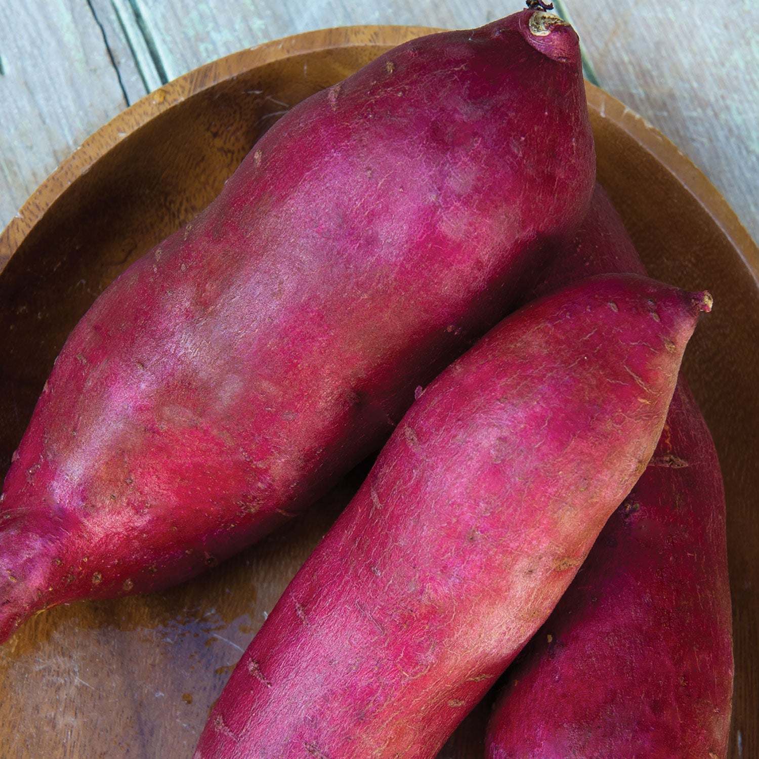Murasaki Sweet Potato Bare Roots