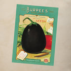 Black Beauty Eggplant Beeswax Candle