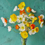 Ballet Slippers Mix Poppy