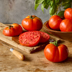 Heatmaster Tomato