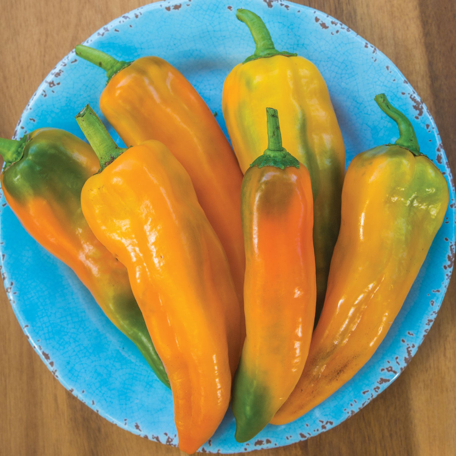 Mama Mia Giallo Sweet Pepper