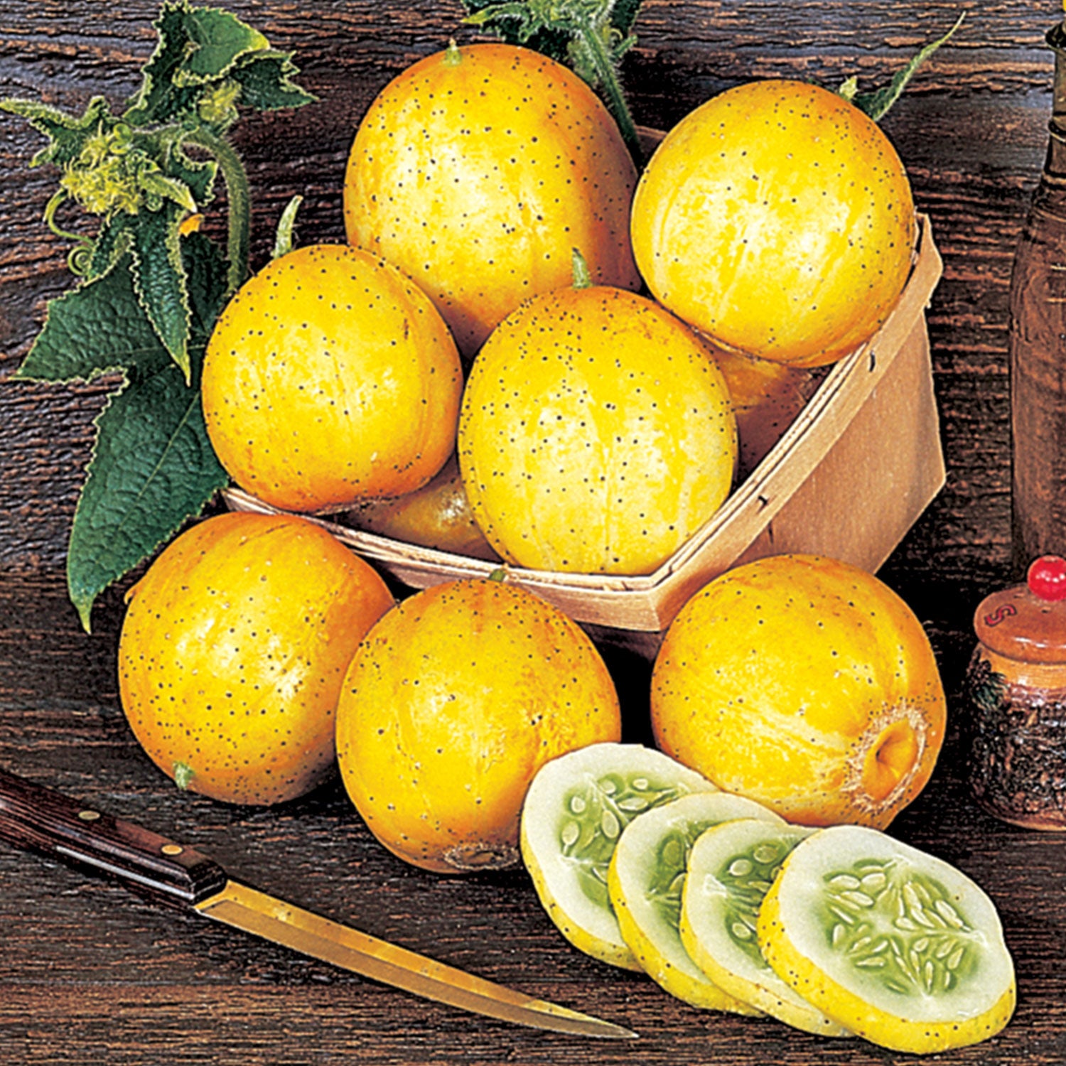 Lemon Cucumber