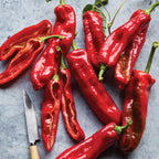PeppiGrande Red Sweet Pepper