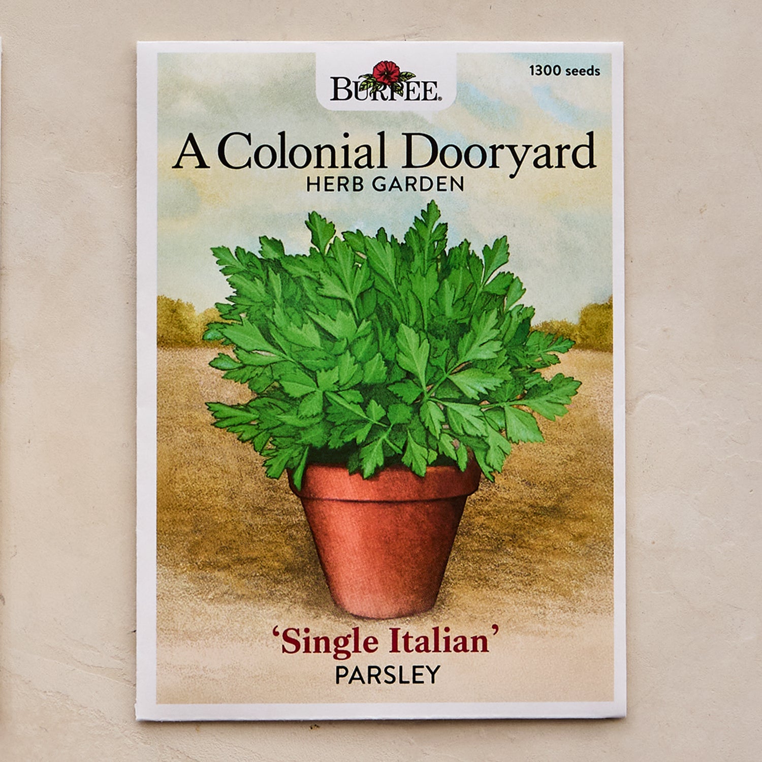 Single Italian Parsley Seeds - A Colonial Dooryard Herb Garden