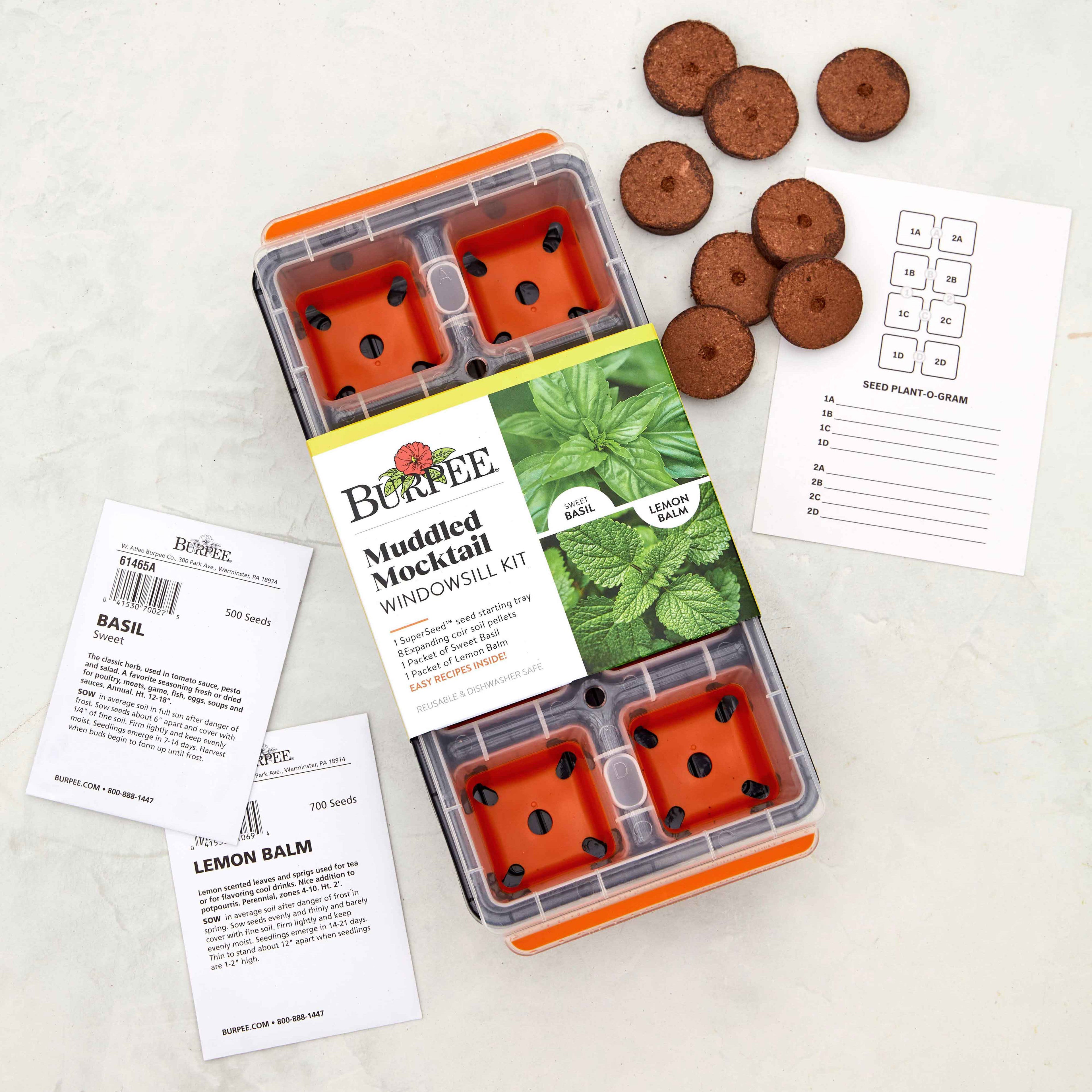 Muddled Mocktail Windowsill Herb Kit
