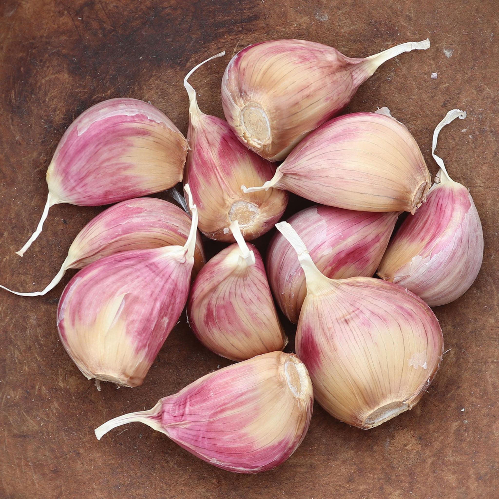 Music Garlic Bulbs