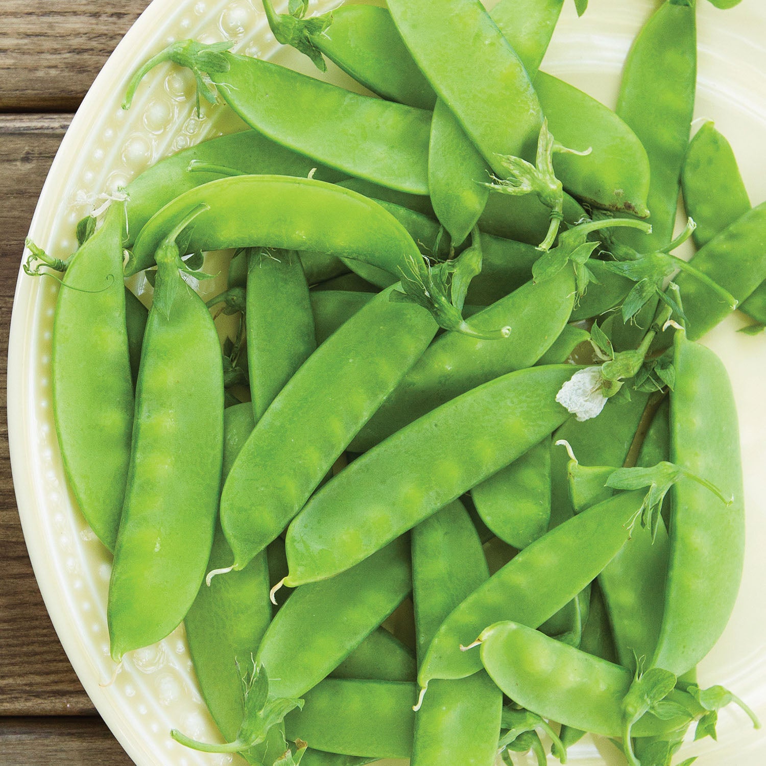Mammoth Melting Sugar Pea
