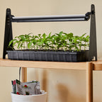 Dynamo LED Grow Light