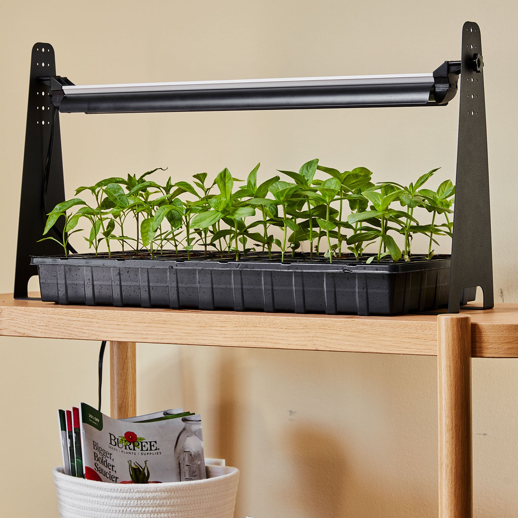 Dynamo LED Grow Light