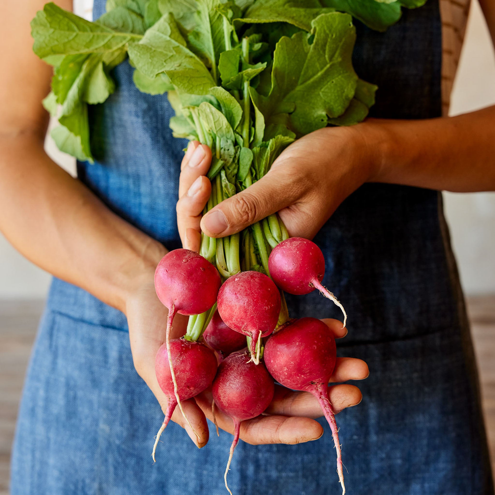 Fabuloso Radish