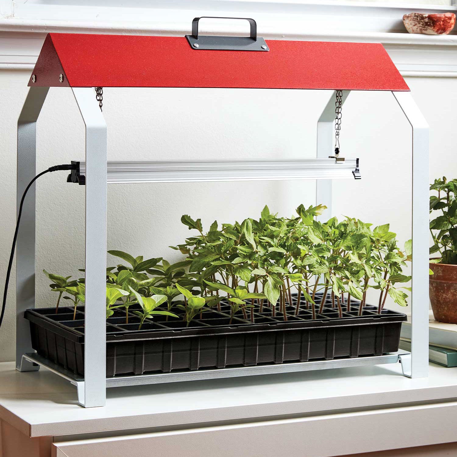 Fordhook LED Grow Light