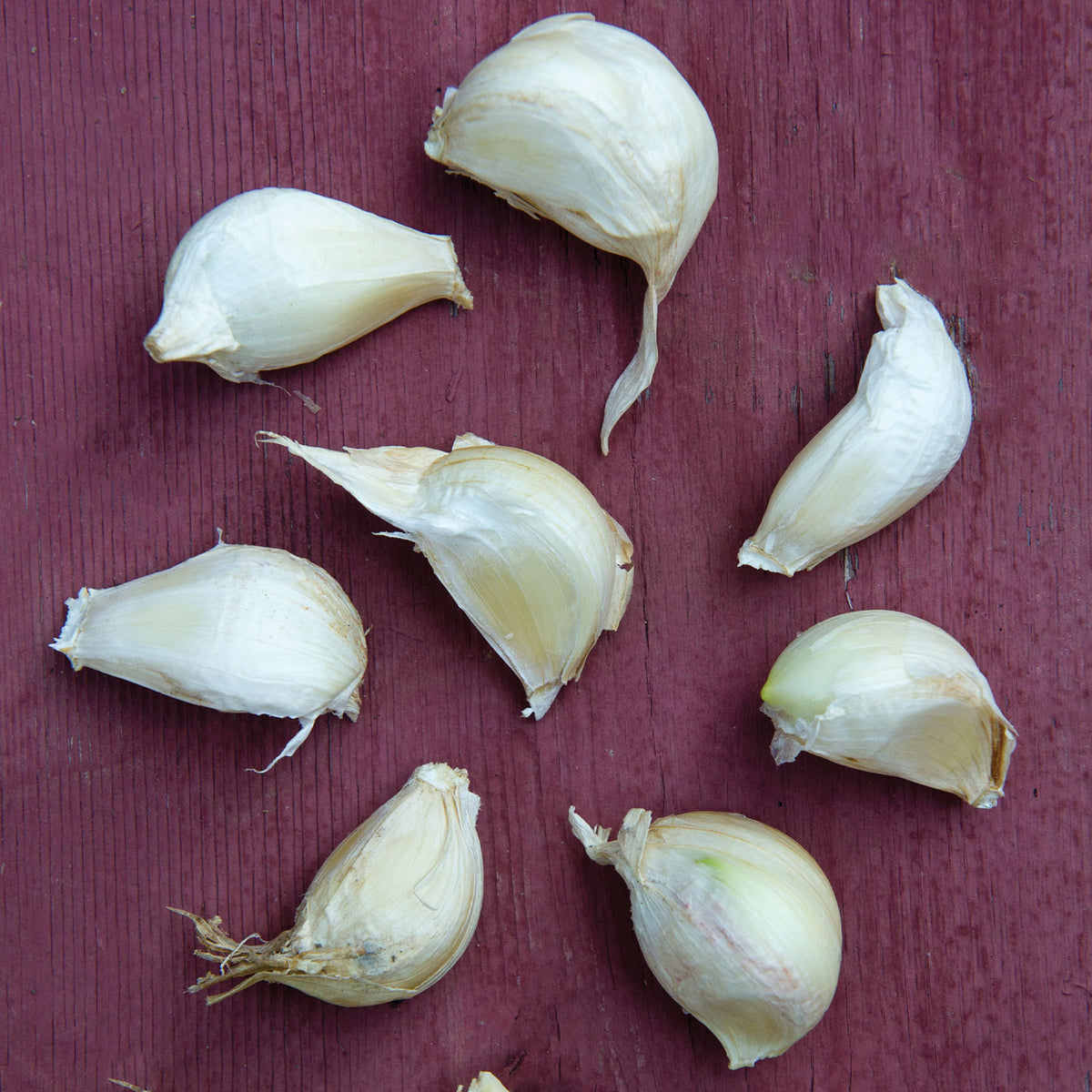 Italian Loiacono Garlic Bulbs
