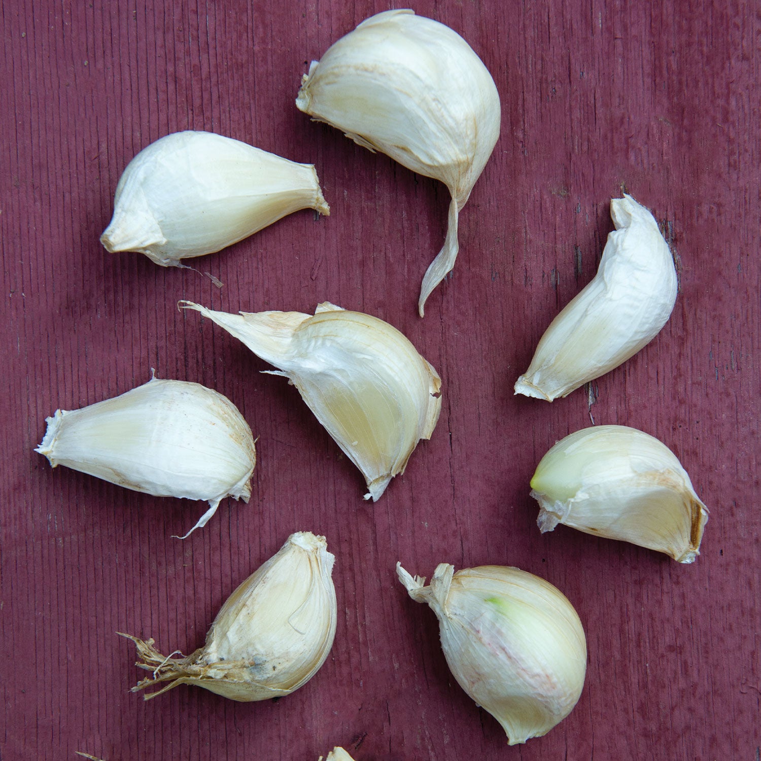 Italian Loiacono Garlic Bulbs