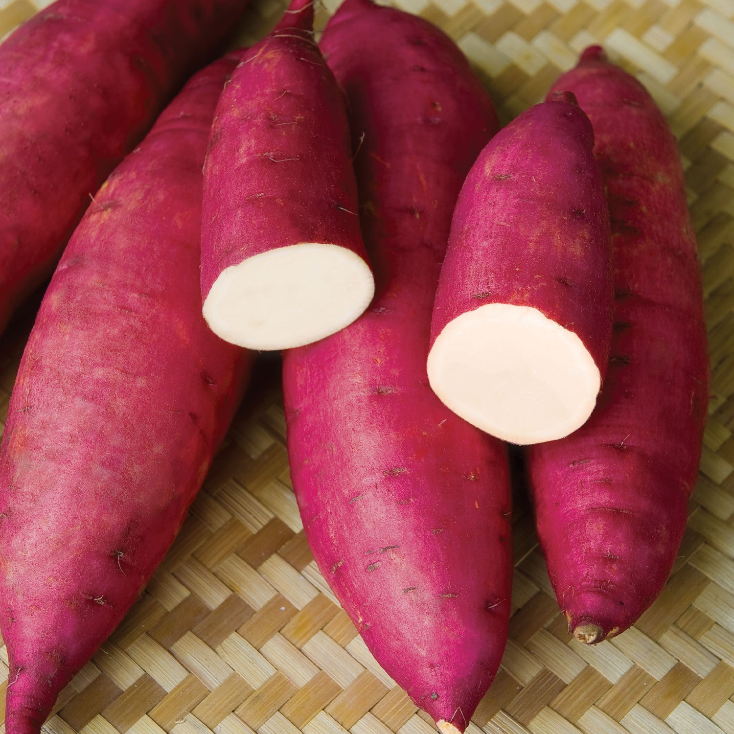 Murasaki Sweet Potato Bare Roots